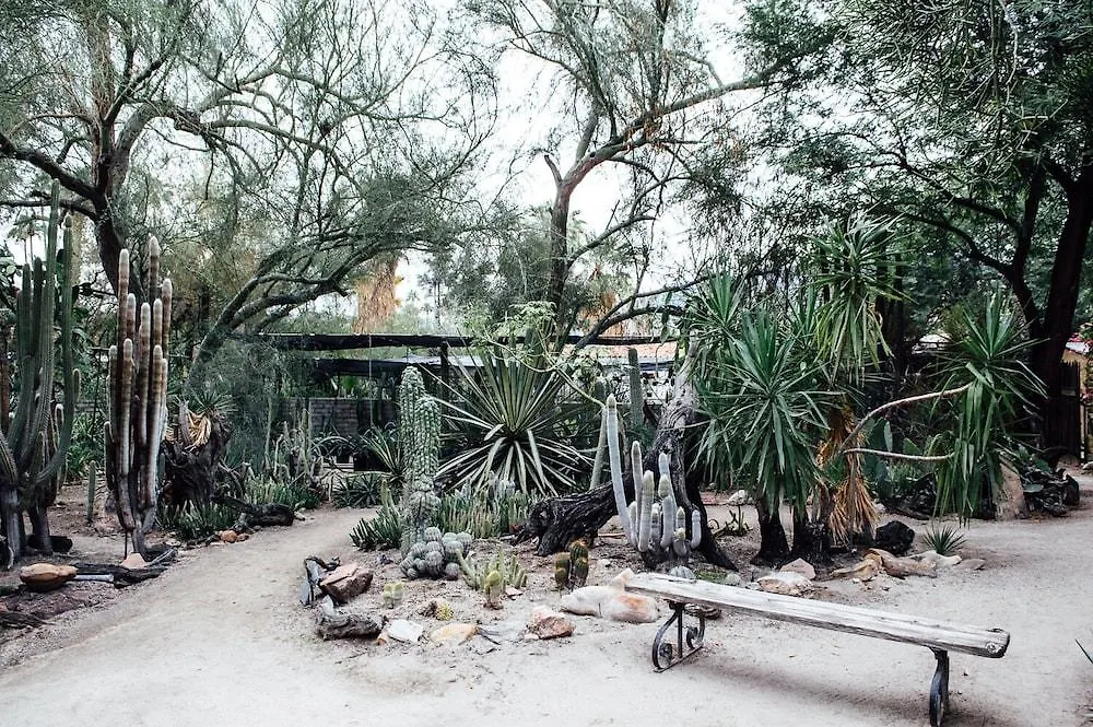 Desert Lodge Palm Springs Motel