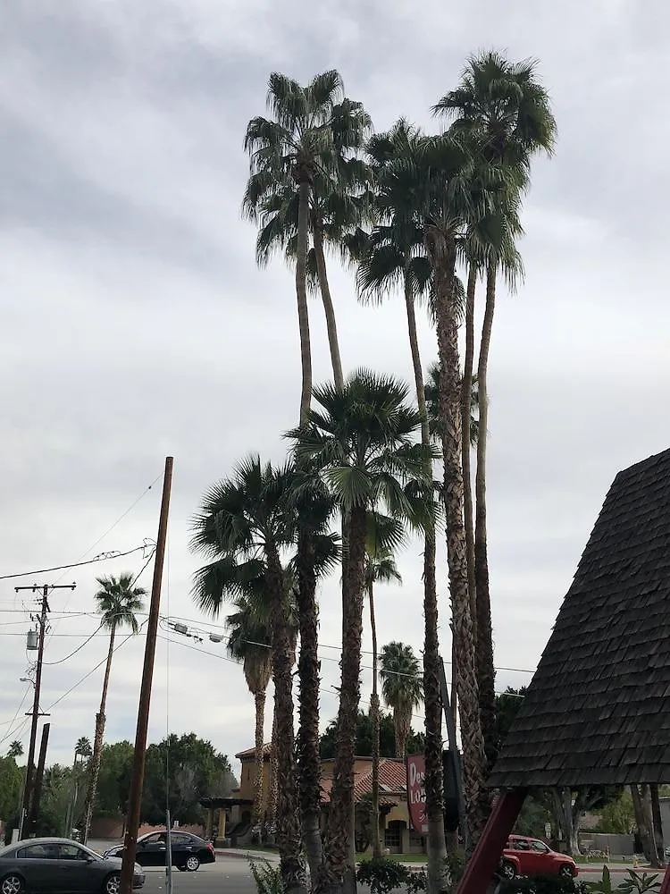 Desert Lodge Palm Springs