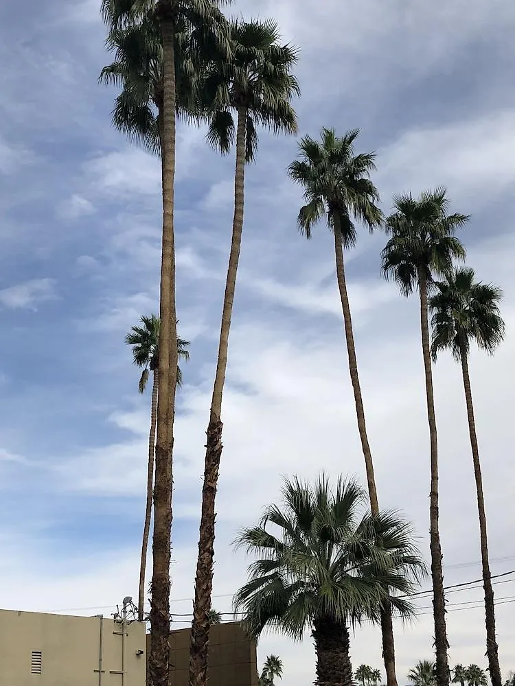 Desert Lodge Palm Springs